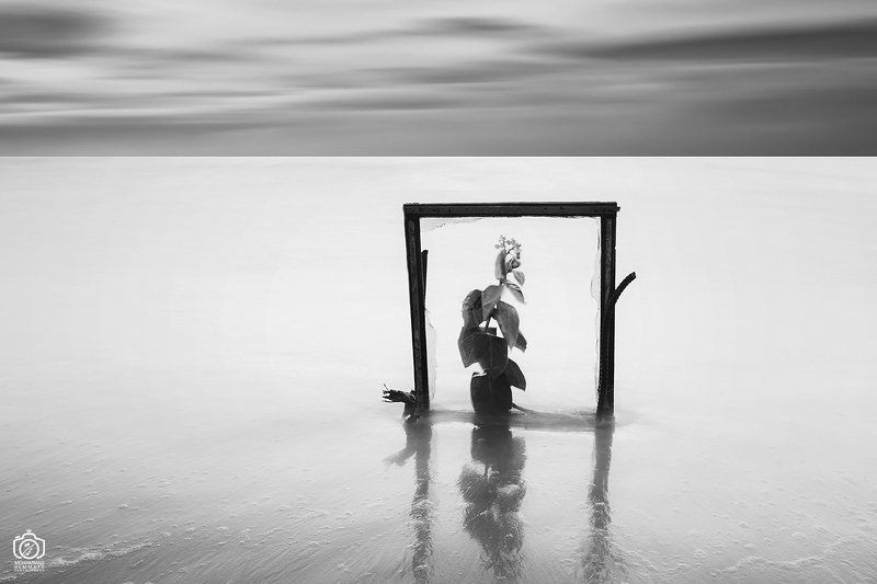 sea,canon,canon80d,longexposure,fineart,concept,nature,conceptual,photo,photography,white,black,light,sea,sky,clouds,minimal,frame,flower untitledphoto preview