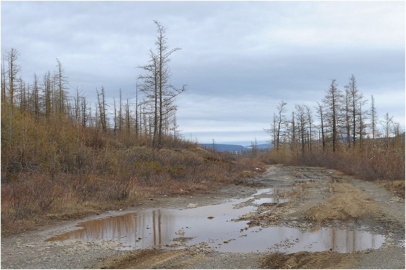 Таймыр,июнь,лето Лето на Таймыреphoto preview