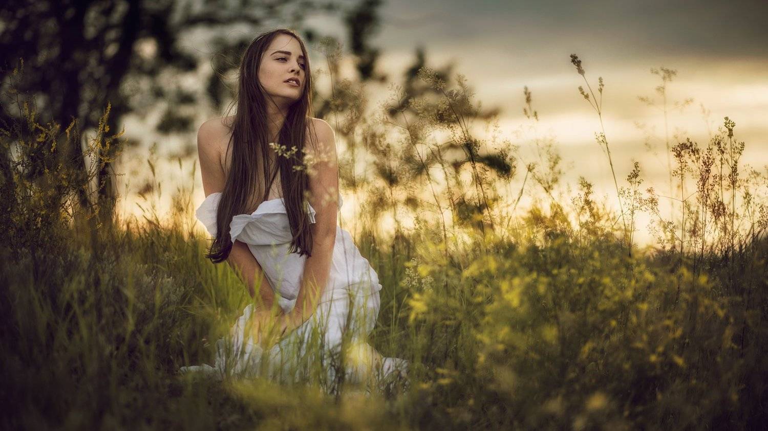 ***. Автор: Денис Богомолов , Денис Богомолов