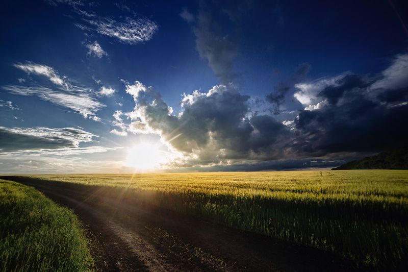 закат, природа Закат в полеphoto preview