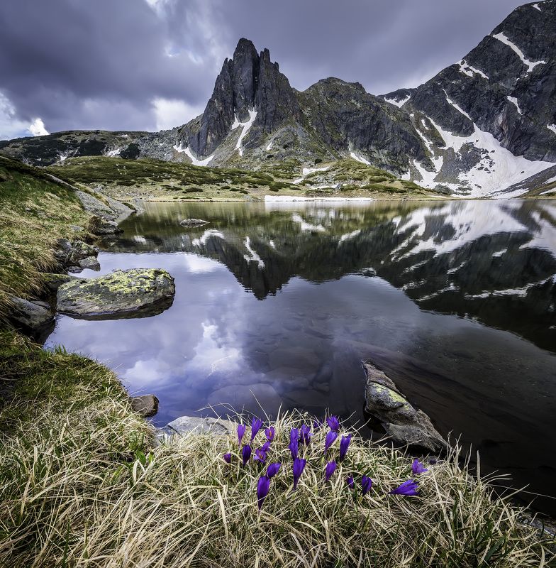nature, landscape, mountain, flowers,water, lake,green, outdoor The heart of the mountainphoto preview