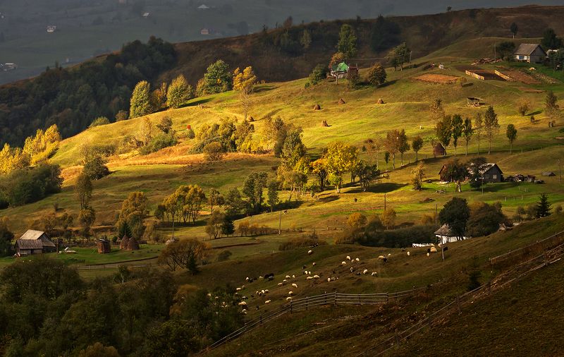 карпаты, утро, посёлок, ясиня Утро в Ясинях...photo preview