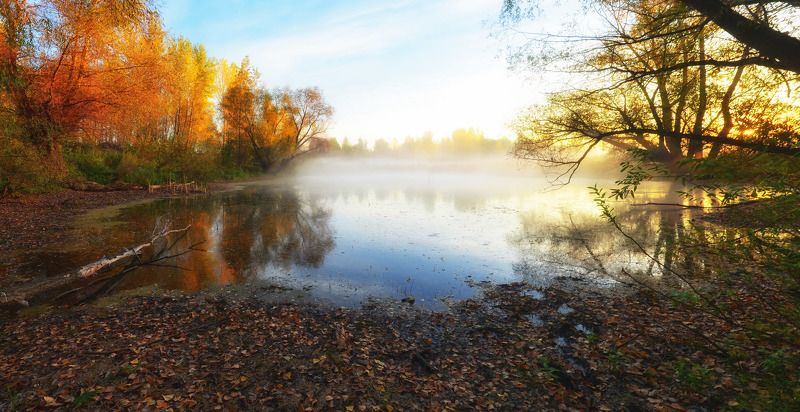 утроphoto preview