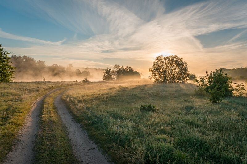 Утренний туманphoto preview