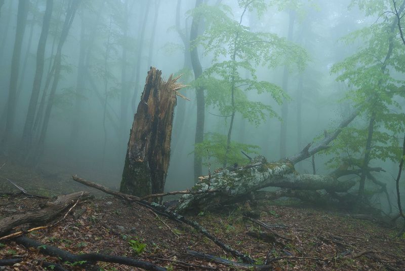 А жизнь продолжается...photo preview