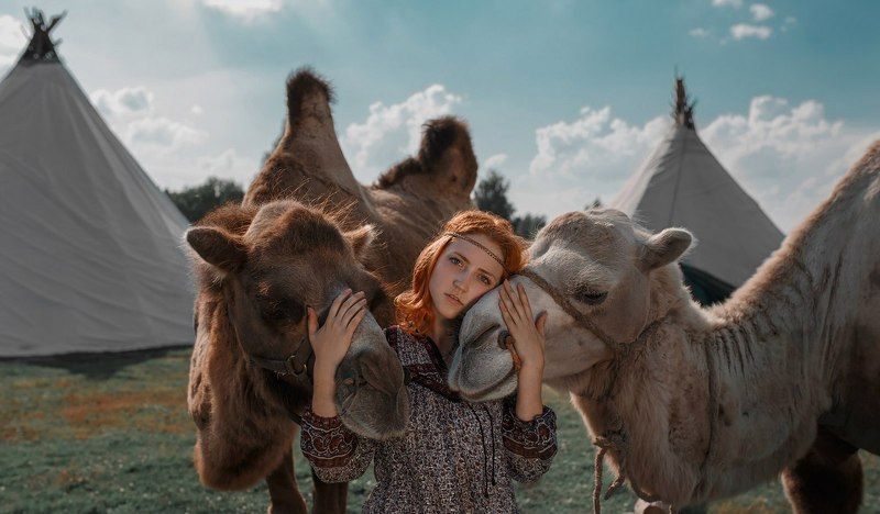 Анималистикаphoto preview