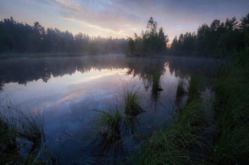 утро, лето, озеро, тишина, природа, благодать Пробуждение от снаphoto preview