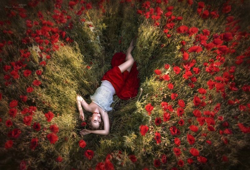 маки ,маковое поле,портрет,девушка.поля photo preview