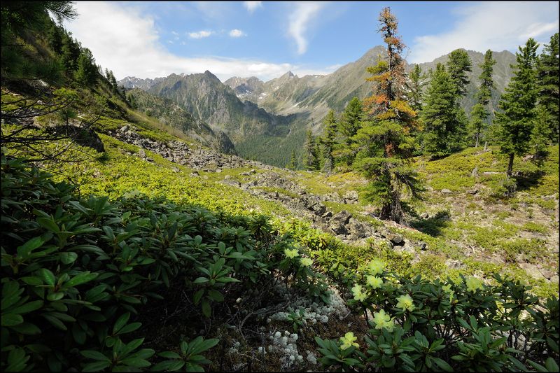 восточные саяны, бурятия, Саянские далиphoto preview