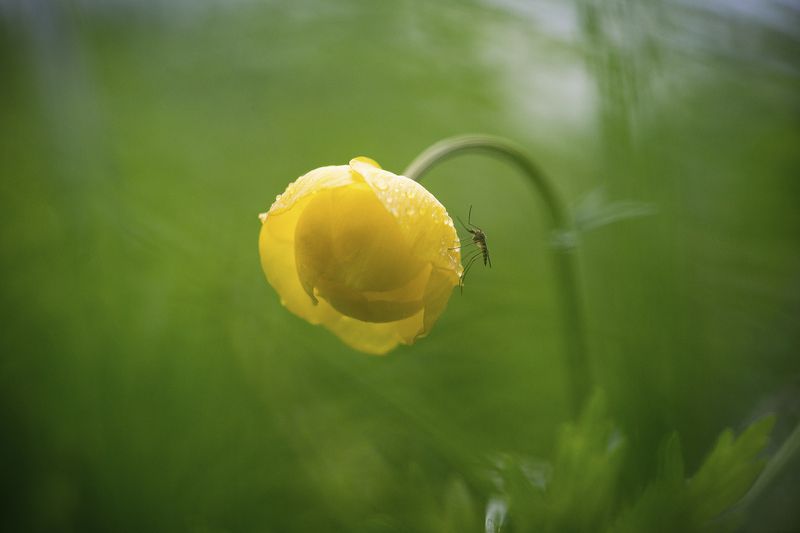 Приветствую!photo preview