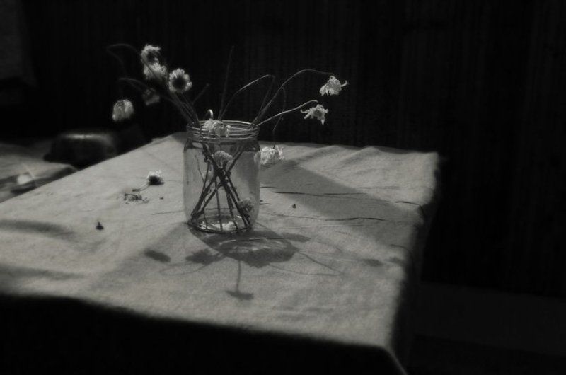 ромашка Ромашкиphoto preview