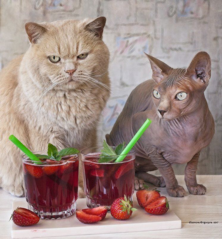 Таити, Таити...photo preview