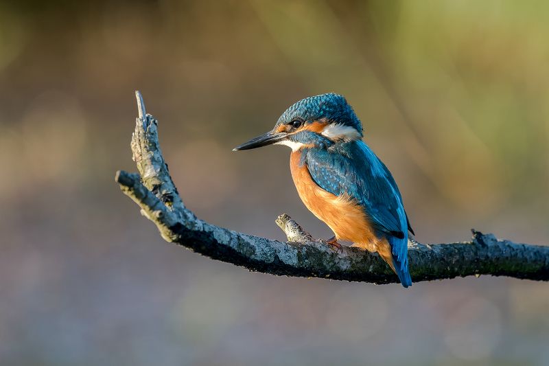 F#%CK Youphoto preview