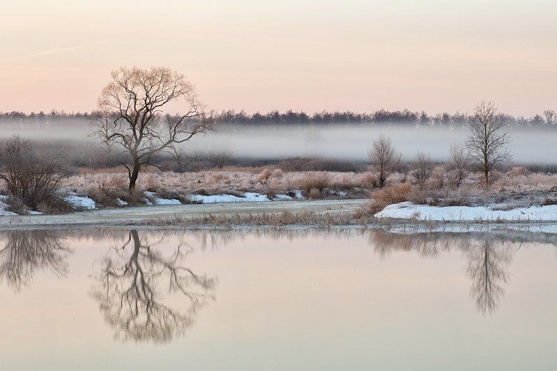 Утренние зарисовкиphoto preview