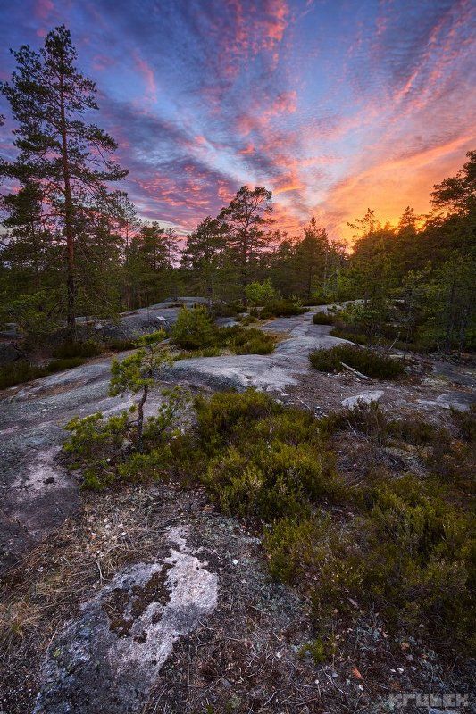 Закат в Нууксио фото превью