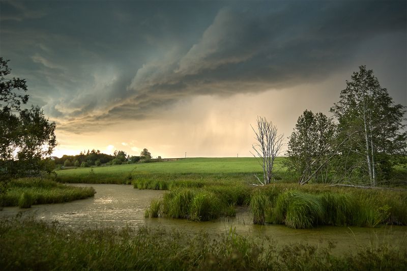 В преддверии грозыphoto preview