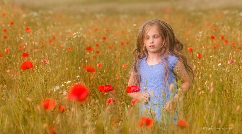 poppy time :)photo preview