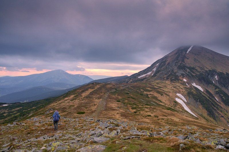 рассвет., туман., карпаты., горы.  фото превью