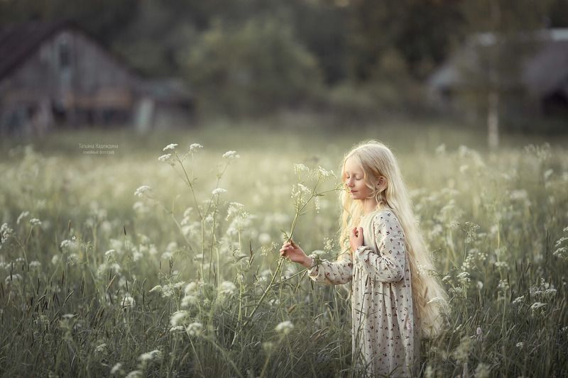 Летний вечерphoto preview