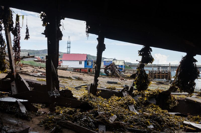 Териберка, Кольский, судно, рёбра, вид, домики, водоросли, Из-под рёбер цивилизацииphoto preview