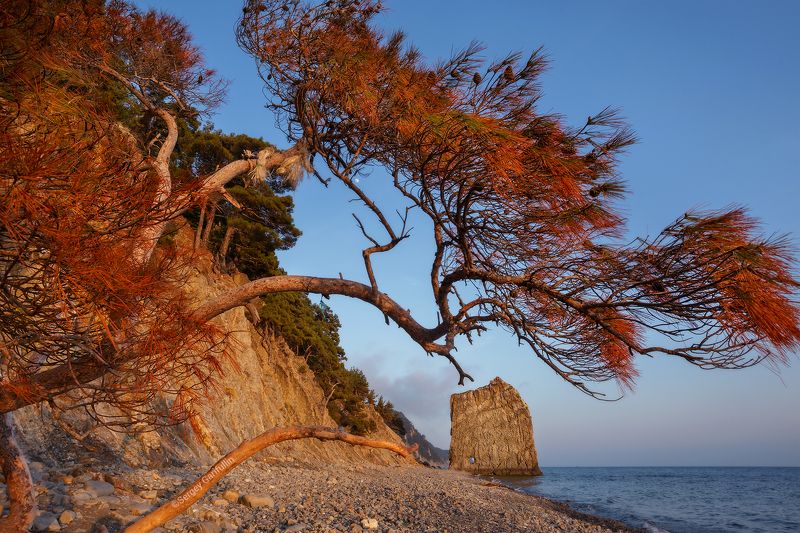 Скала Парус, Черное Море, Краснодарский край Скала Парусphoto preview