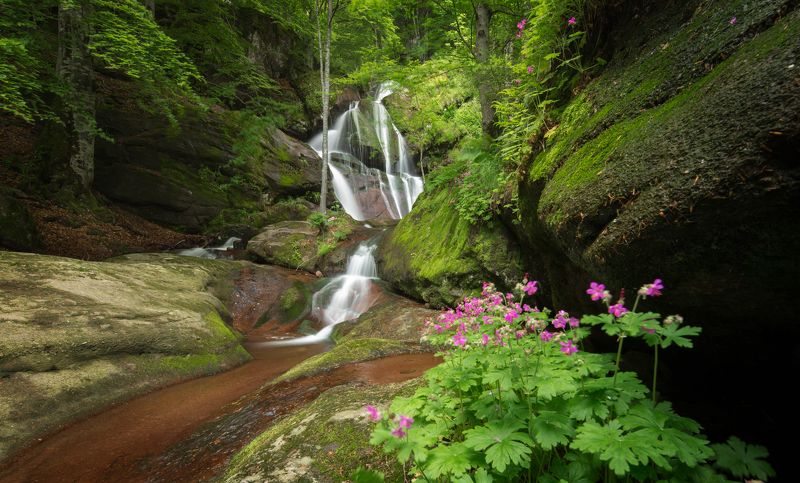 Копренска екопътекаphoto preview