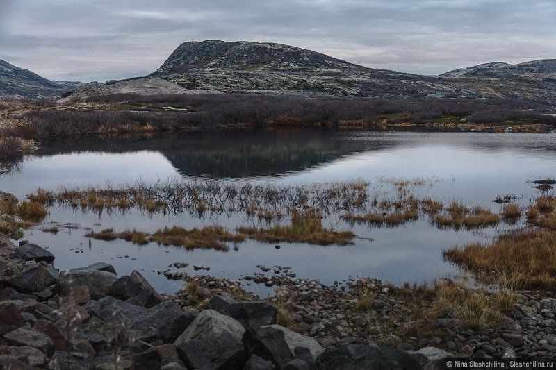 север,осень,пейзаж,кольский, горы, териберка, россия Поздняя осеньphoto preview