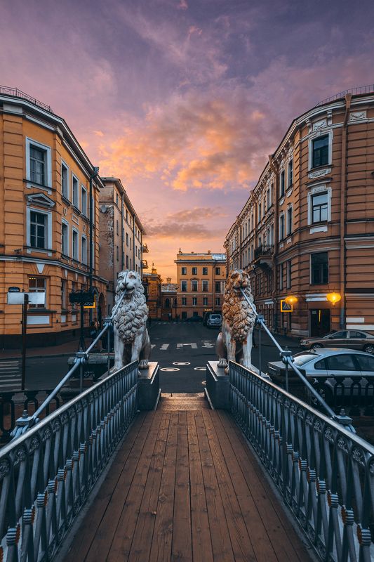 summer, russia, спб, лето, city, sky, небо, город, архитектура, интерьер Львиный Мостphoto preview