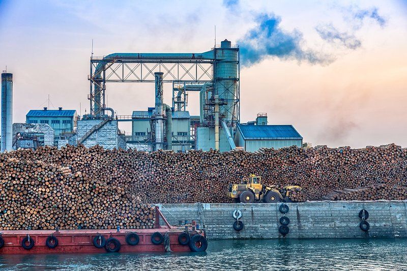 Wood Sawmillphoto preview