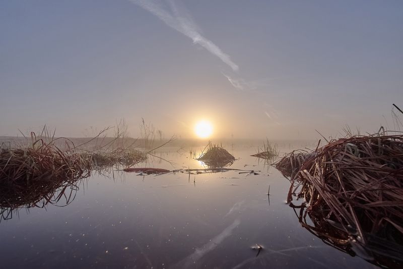 рассвет, пейзаж, природа, туман, свет, красота Утро туманноеphoto preview