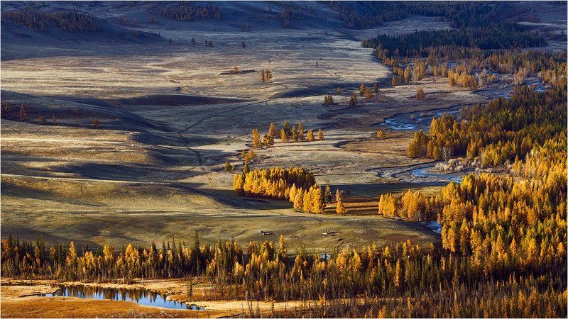 Курай на рассвете.photo preview