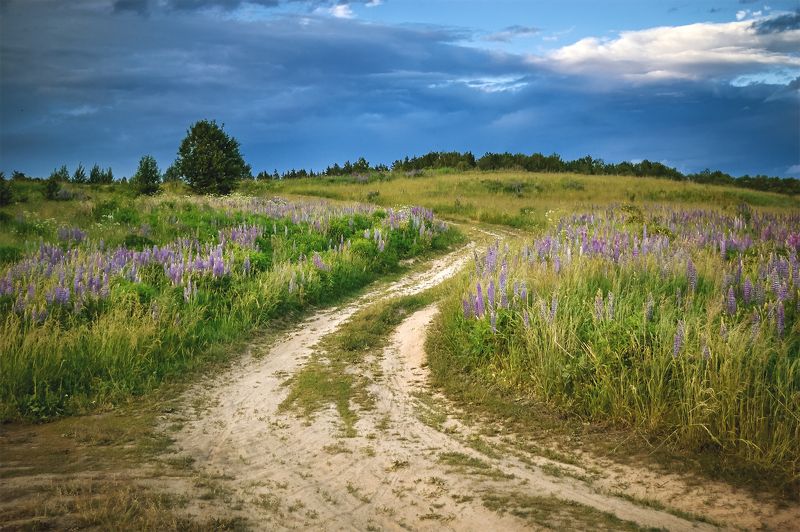 Краски летаphoto preview