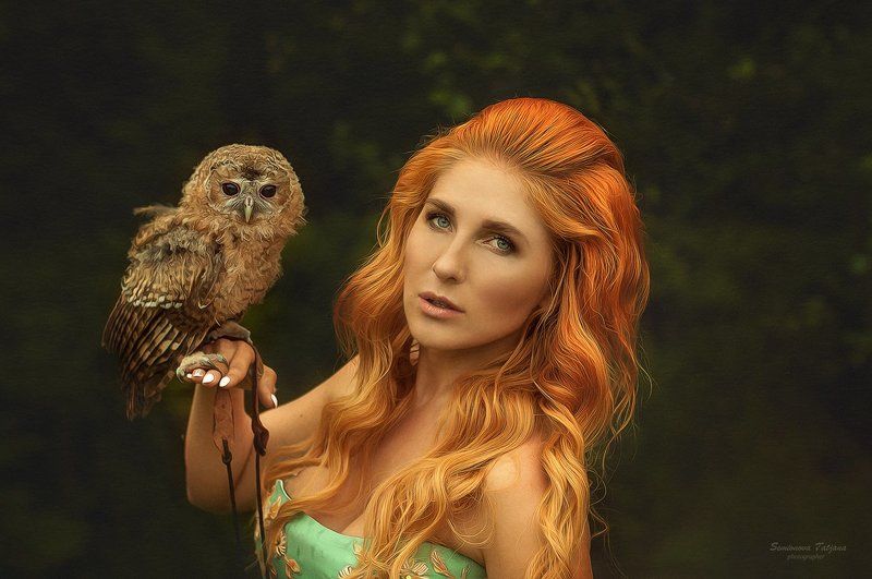 рыжая, сова, природа, красота  рыжая и соваphoto preview