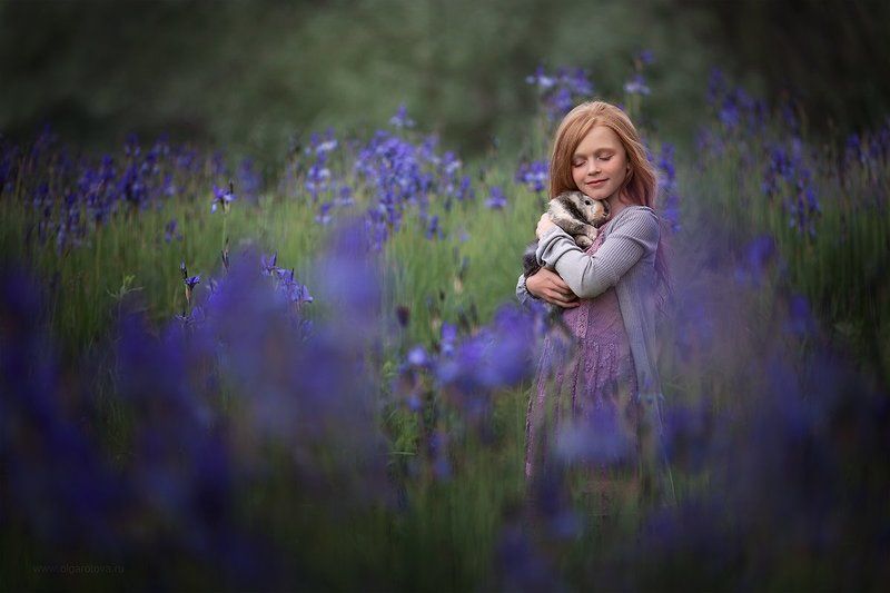 В ирисахphoto preview