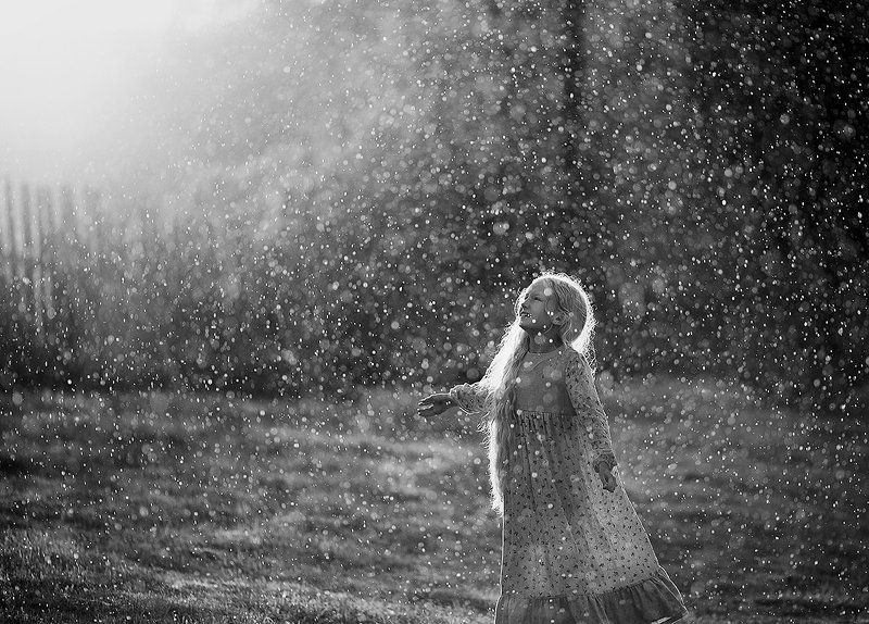 Летний дождикphoto preview