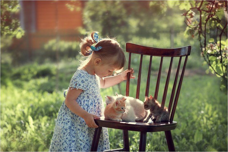 девочка,котята А у нас сегодня кошка родила вчера котят...photo preview