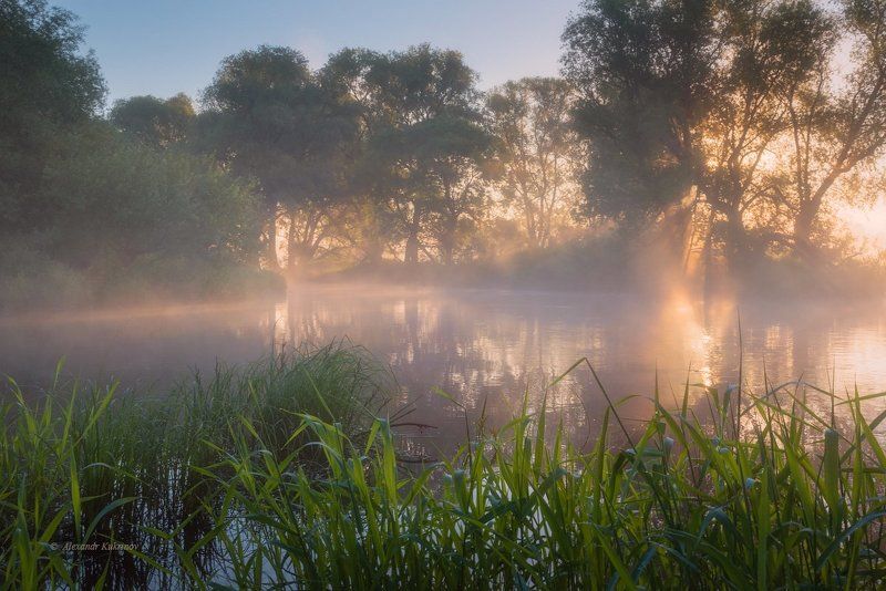 пейзаж, рассвет, угра Утренний свет...photo preview