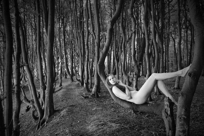 wood, tree, nude, girl, artnude, art, nature Im Bogenphoto preview
