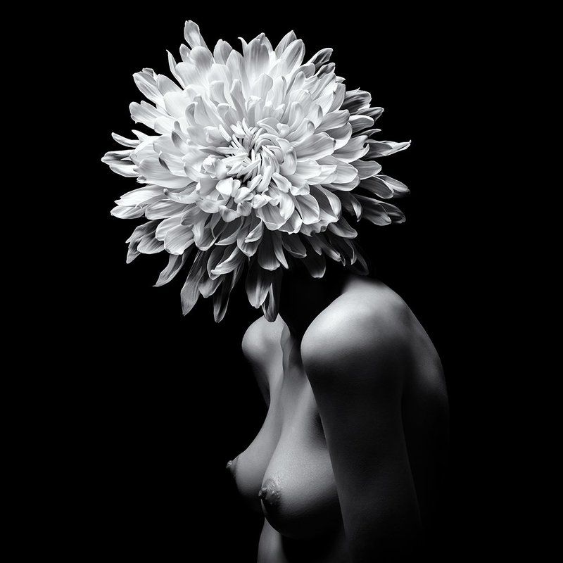 nude, body, flower, woman, monochrome,  sensuality, femininity, sexuality Sensual flowerphoto preview