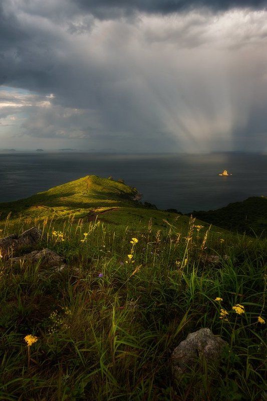 приморский край, заповедник, рассвет, море, солнце в прицеле природыphoto preview