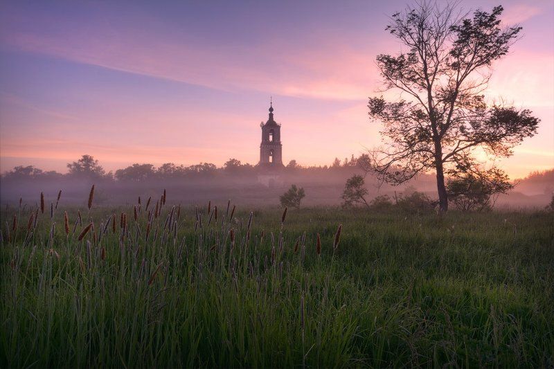 пейзаж, пейзажная съемка, утро, туман, храм, июнь, июньское утро, свежесть, молодая зелень, никон, landscape, may, fog, morning, church Утро у старой колокольниphoto preview
