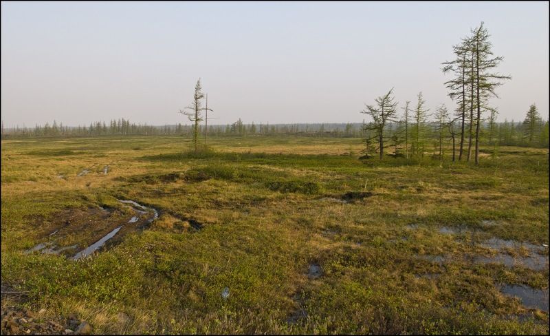 Таймыр,июнь,лето Вот и лето пришлоphoto preview