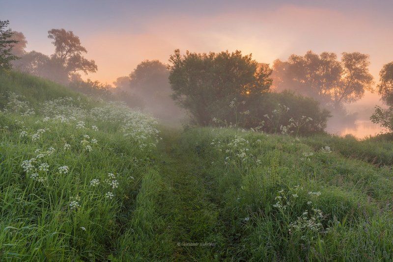 рассвет, пейзаж, угра Угра предрассветная...photo preview