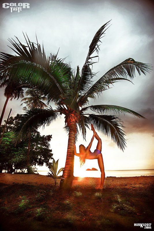 COLOR TASTEphoto preview