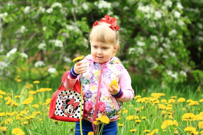 Одуванчиковое времяphoto preview