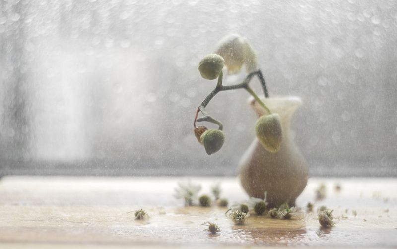 Натюрморт!photo preview