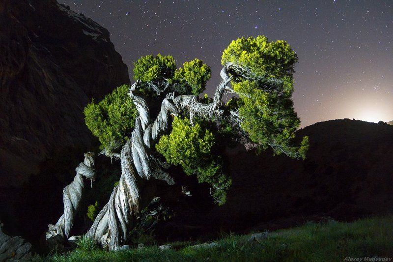 горы, скалы, Таджикистан, фаны, арча, горное, озеро, Арчаphoto preview