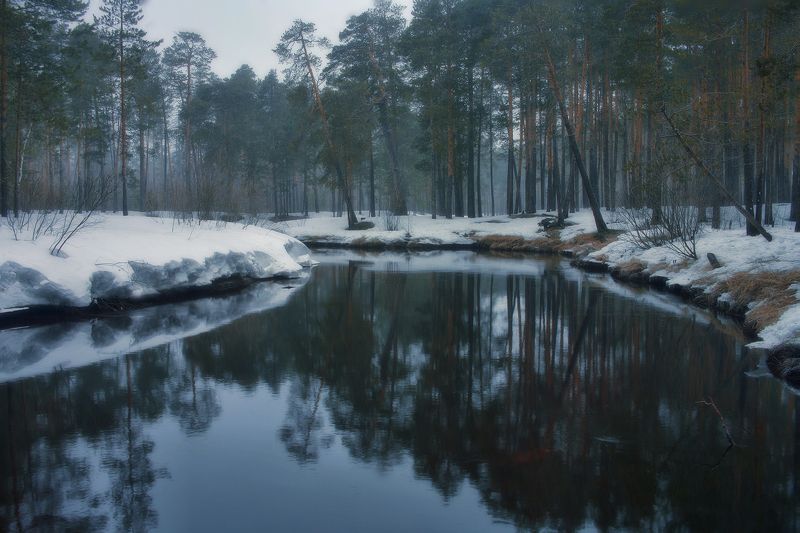 югра,река пим таёжная река Пимphoto preview