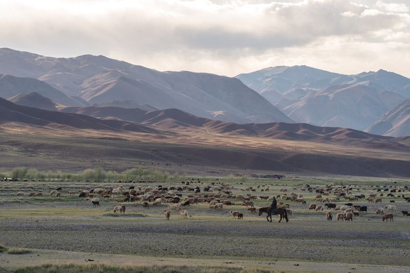 Монгольские акварели photo preview
