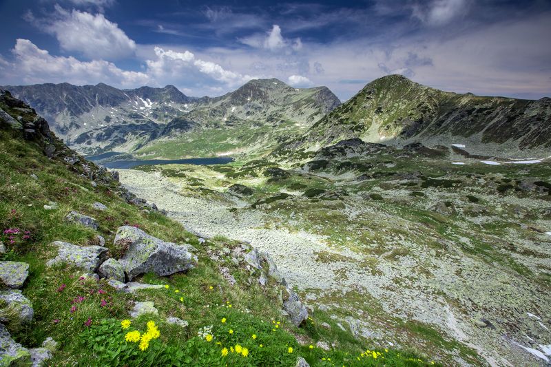 mountains,Retezat,colors,flowers,lake,Romania, Summer colorsphoto preview